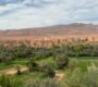 Top Marrakech Trips: Gateway to Morocco’s Desert Wonders