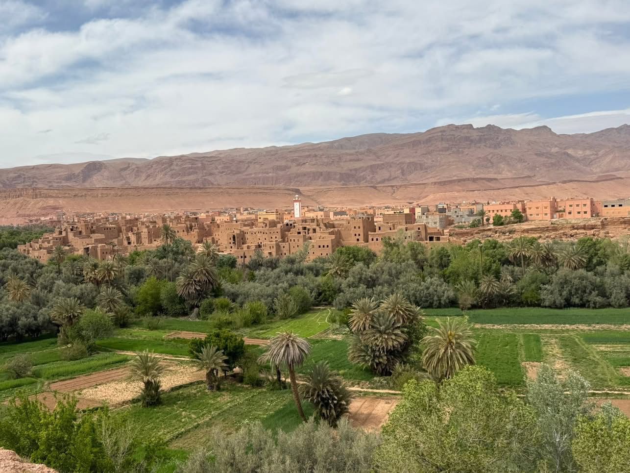 Top Marrakech Trips: Gateway to Morocco’s Desert Wonders