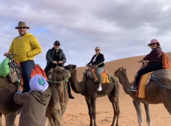 Desert Excursions and Sahara Tours from Fes