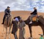 Cheap Tours from Marrakech That Don’t Compromise on Magic